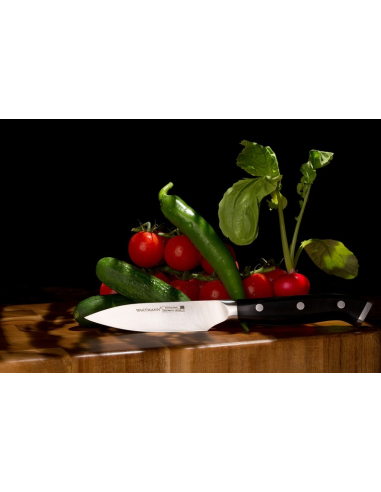 Wartmann Pro Schilmes/Officemes 9 cm