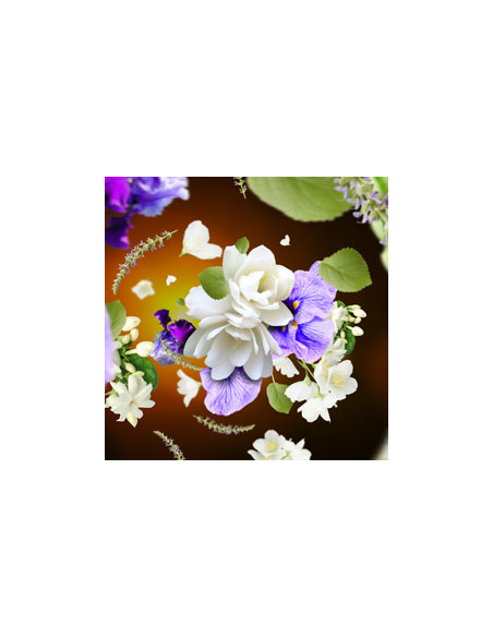 PB Navulling Fleurs de Musc