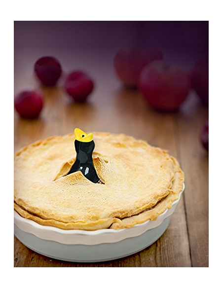Pie Bird Taartontluchter