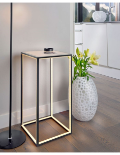 LED Delux Vloerlamp 30x30x60 cm