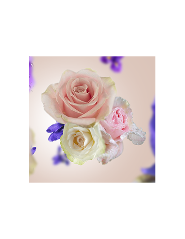 Lampe Berger Duopack Senso