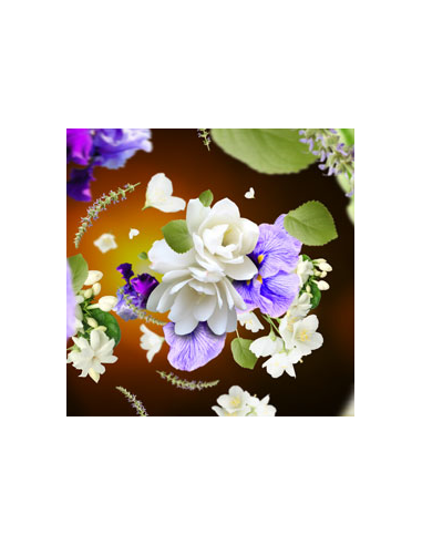 Lampe Berger Duopack Senso