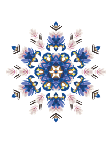 MB Auto Navulling 2x Liliflora