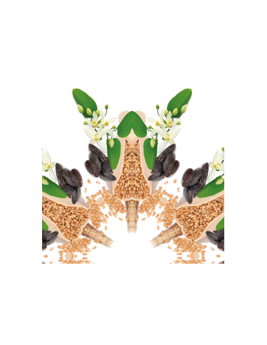 MB Auto Navulling 2x Blé d'Or