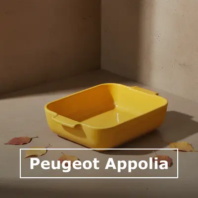 Peugeot Appolia ovenschalen